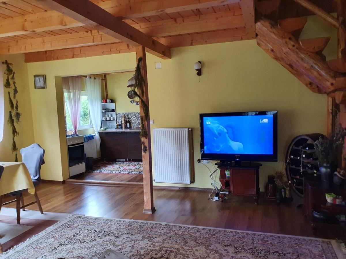Dîmbovicioara Casa Dor De Ea 빌라 외부 사진